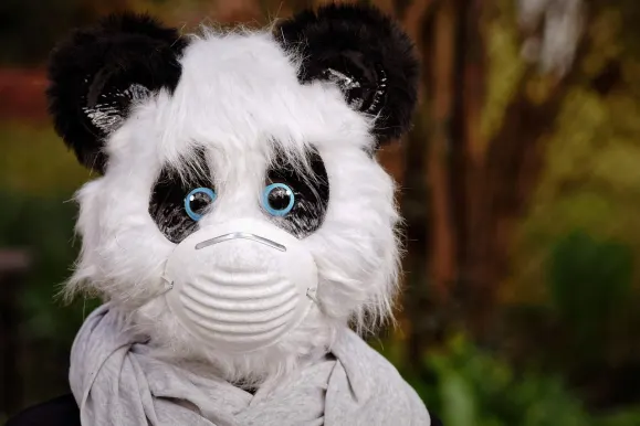 Bitcoza Casino Ënnerstëtzung